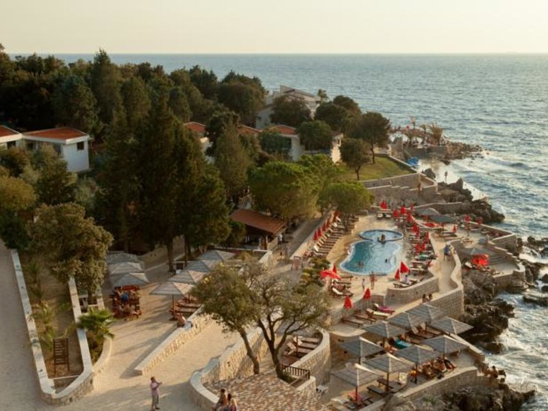 Ruza Vjetrova  81809