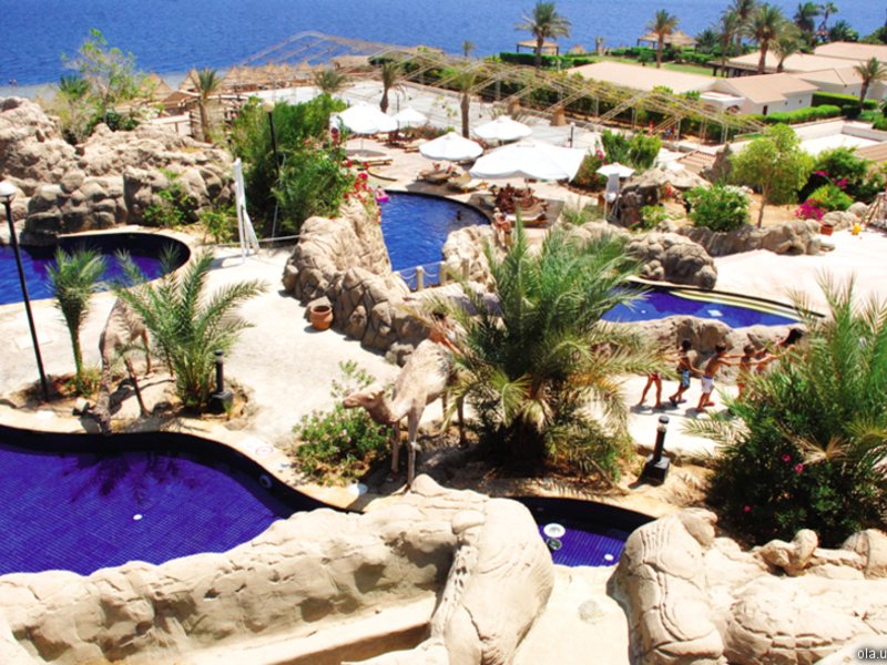 SHERATON HOTEL MAIN SHARM 23304