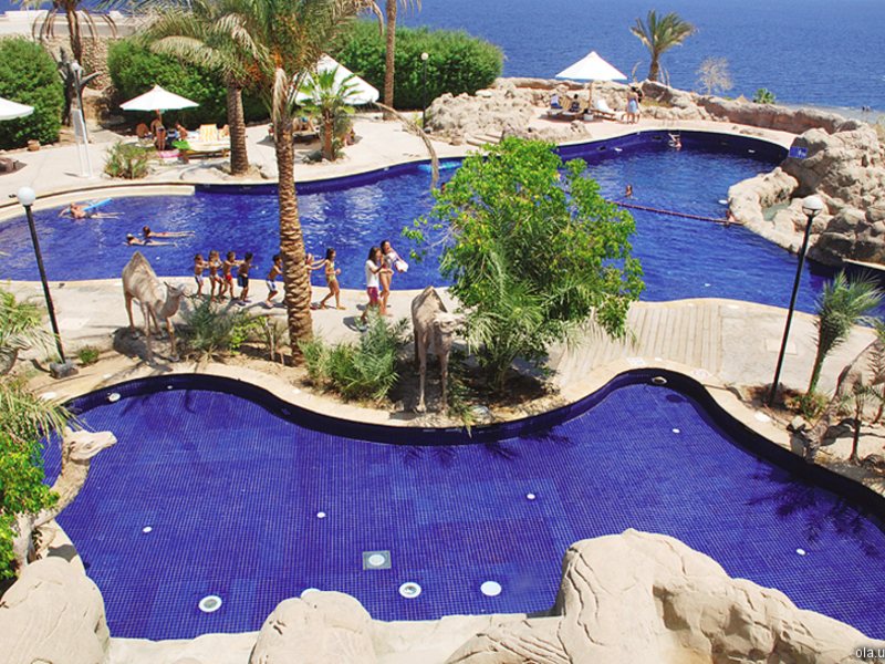 SHERATON HOTEL MAIN SHARM 23319