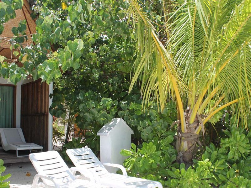 Safari Island Resort 136467