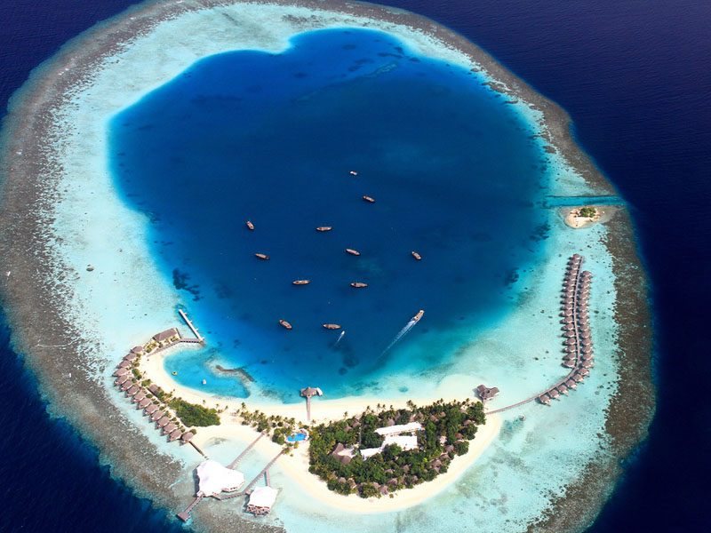 Safari Island Resort 136470