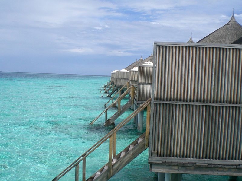 Safari Island Resort 136471