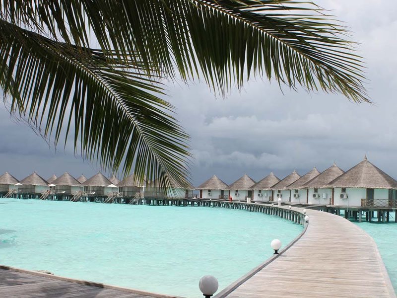 Safari Island Resort 136472