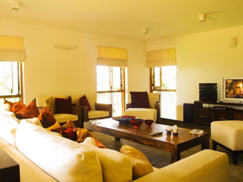 Saffron & Blue 110605