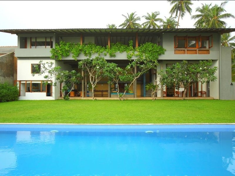 Saffron & Blue 110613