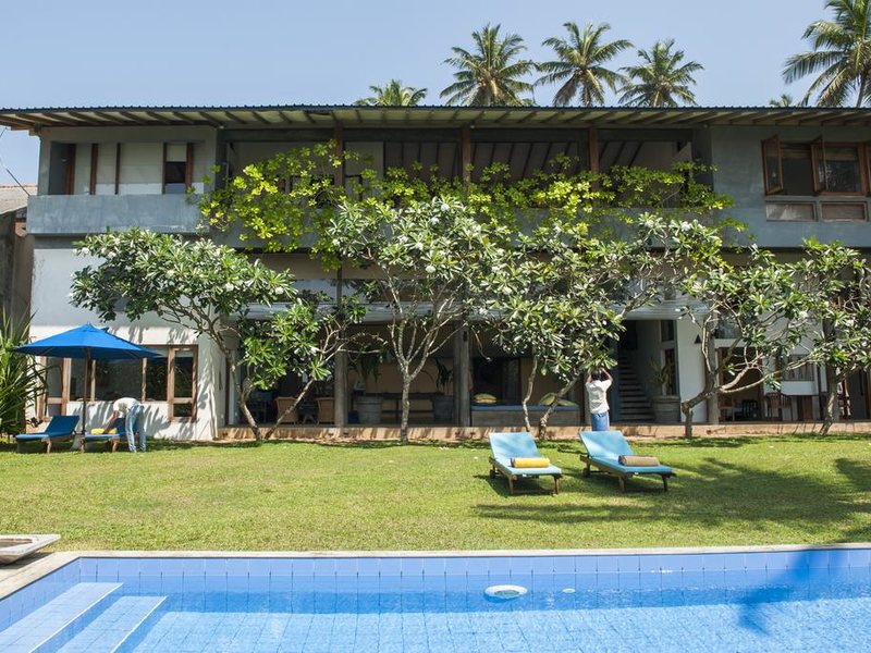 Saffron & Blue 110616