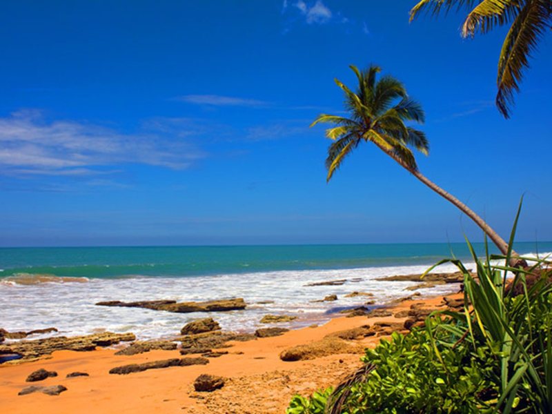 Saffron & Blue 110621