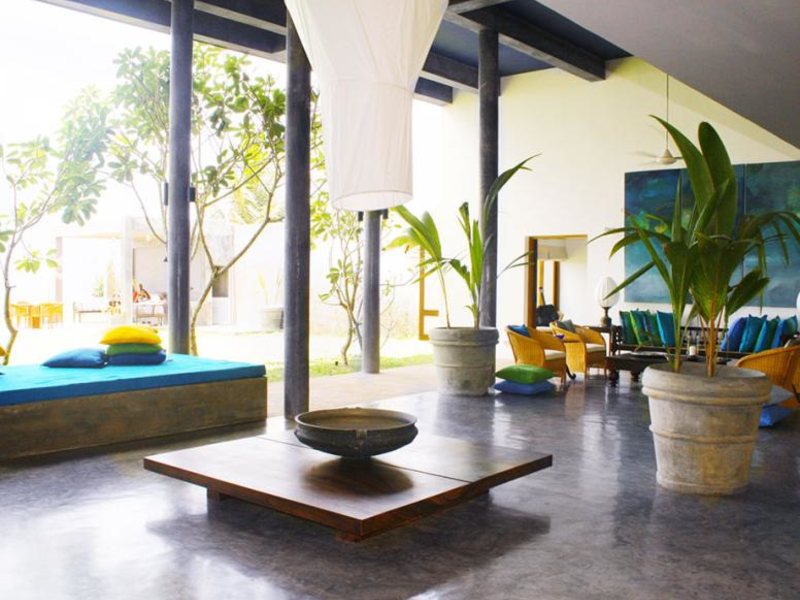 Saffron & Blue 110624