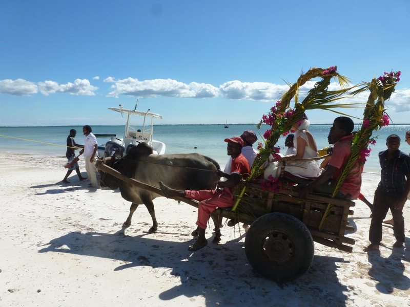 Sagando Hostel 202106