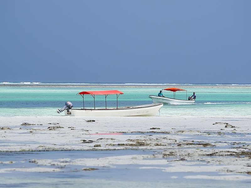 Sahari Zanzibar 229270