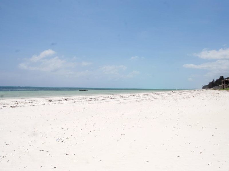 Sahari Zanzibar 229271