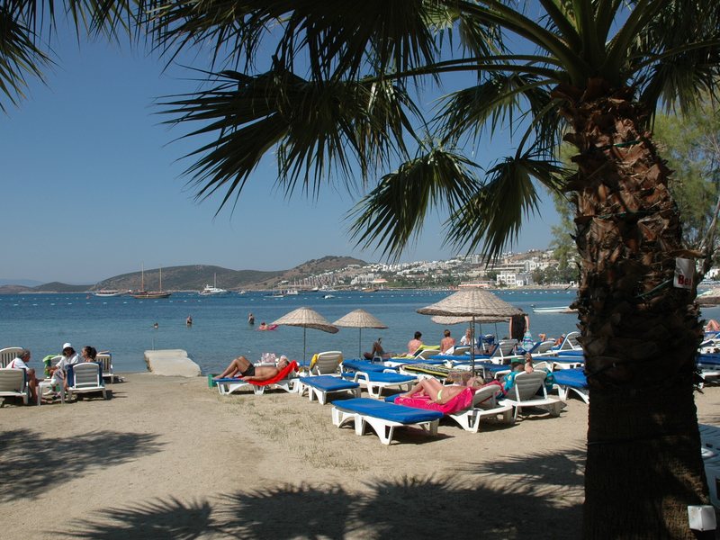 Sami Beach Hotel 187620