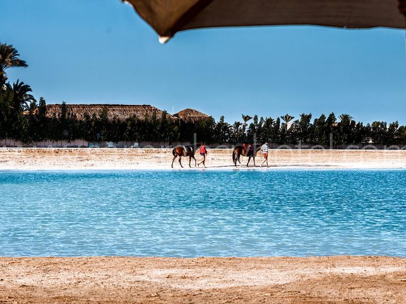 Samra Bay Hotel and Resort 189975