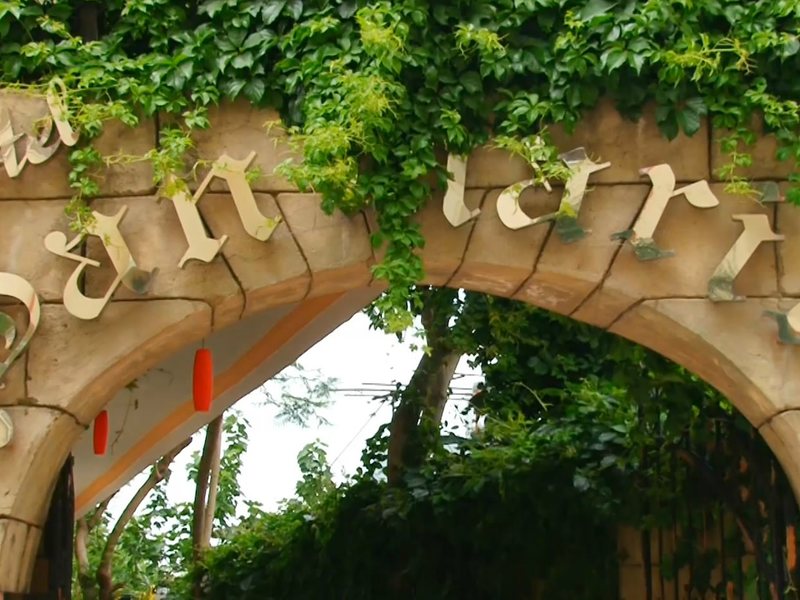 San Marin Hotel 102780