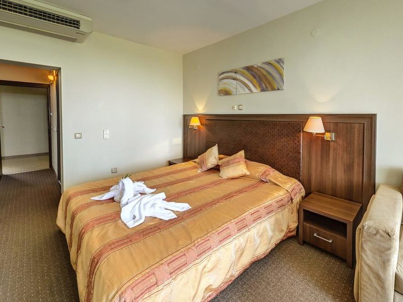 Sana Spa Hotel 316706