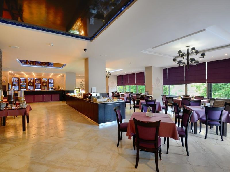 Sana Spa Hotel 316712