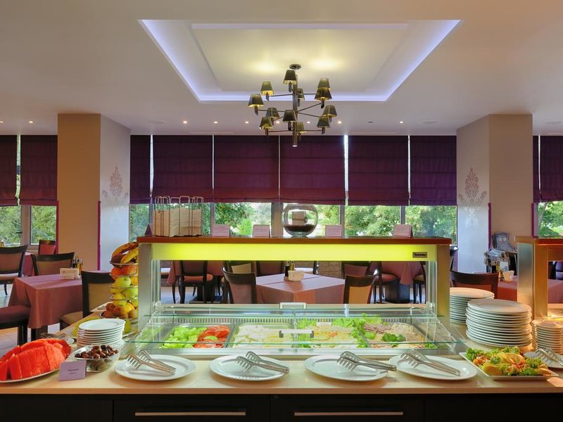 Sana Spa Hotel 316714