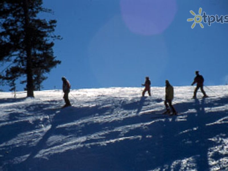 Sarikamis Toprak 282215