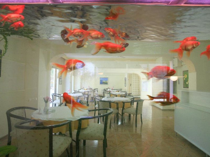 Saturn Hotel  181264