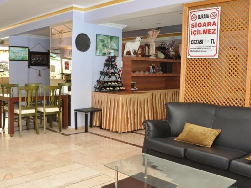 Sava Butik Hotel 66745