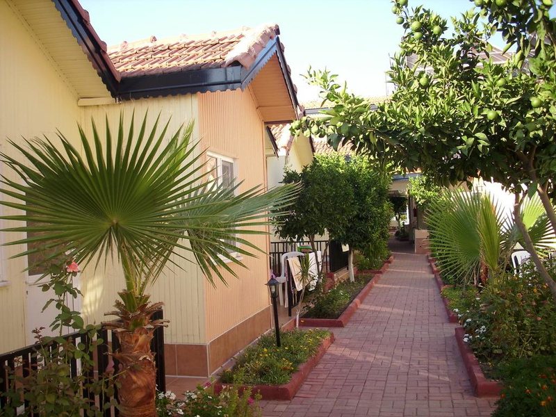 Sayanora Hotel 190768