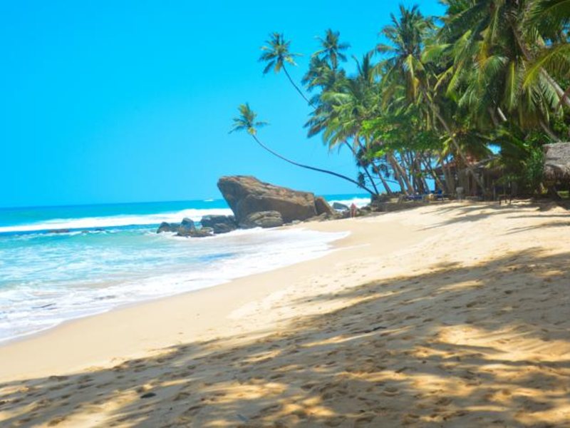 Sayura Beach Hotel 131625