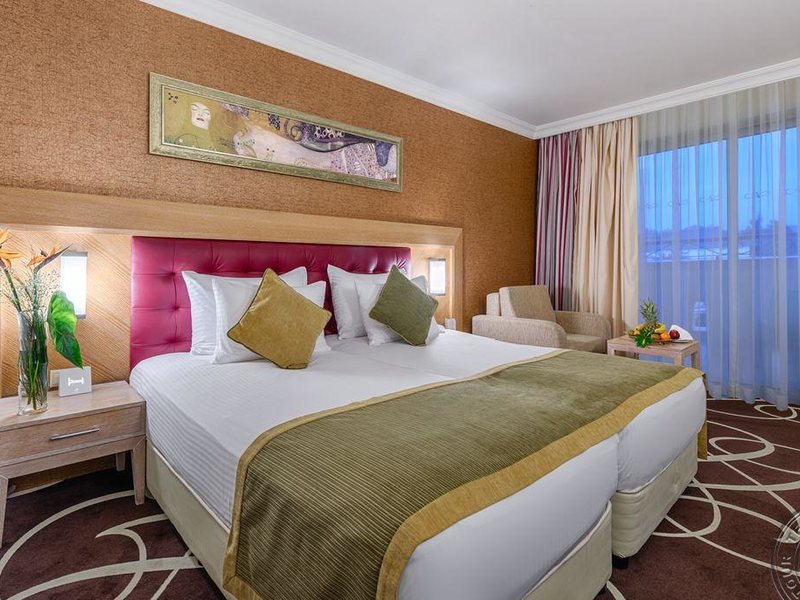 Scylax Family Club 318785