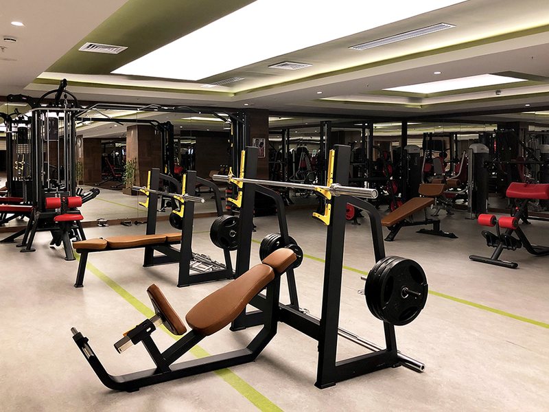 Scylax Family Club 318792