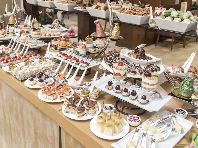 Scylax Family Club 318793