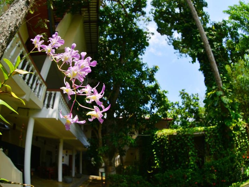 Sea Breeze Hotel Guest House 162066