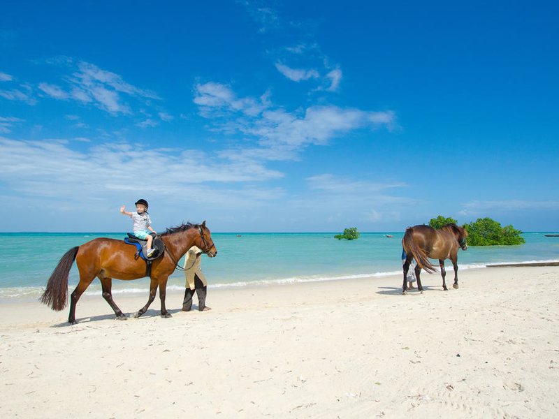 Sea Cliff Resort & Spa 202290