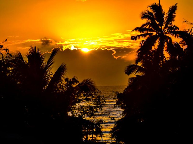 Sea Crest Hotel 322884