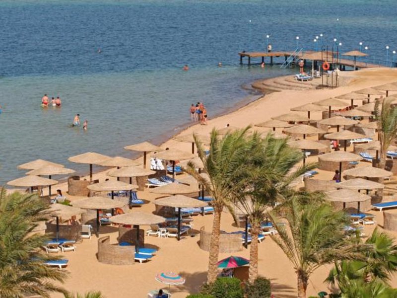 Sea Star Beau Rivage 127870