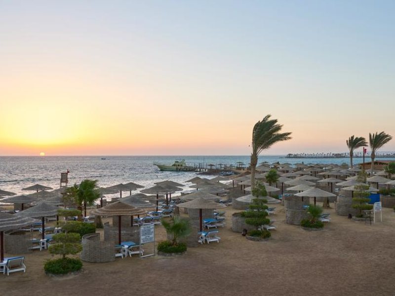 Sea Star Beau Rivage 293960