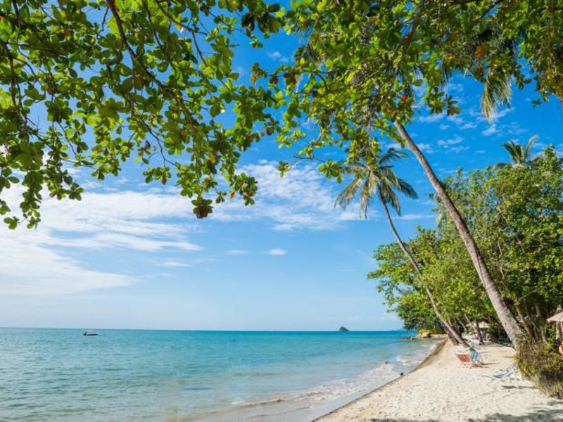 Sea View Resort & Spa 156644