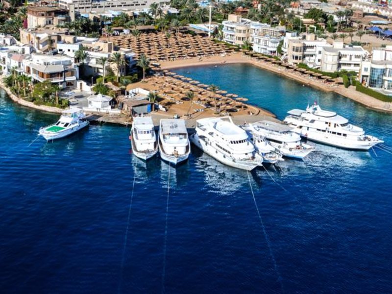 Seagull Hotel 127918