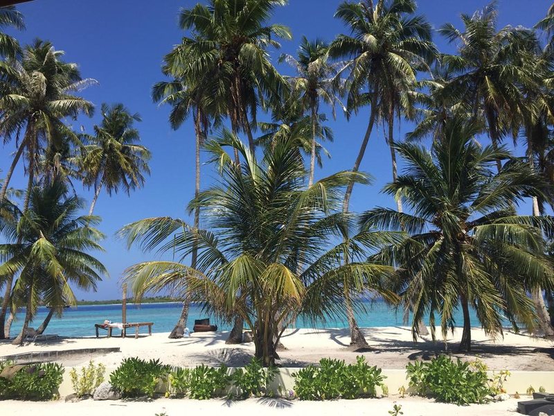 Season Paradise Guest House 239983