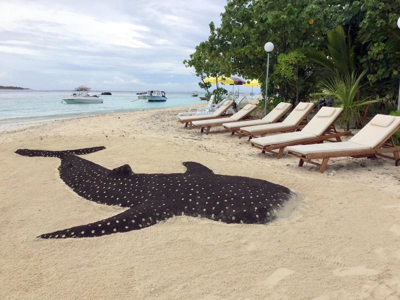 Season Paradise Guest House 240009