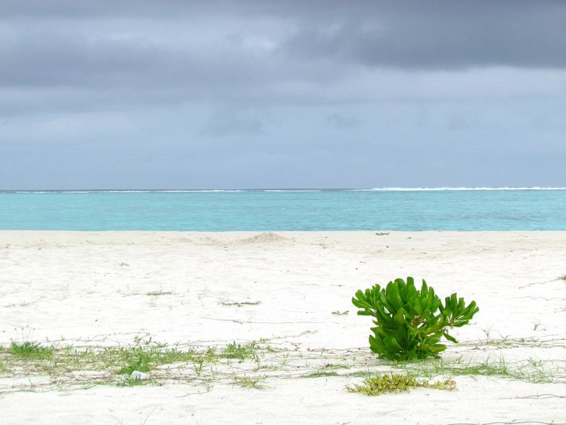 Season Paradise Guest House 240020