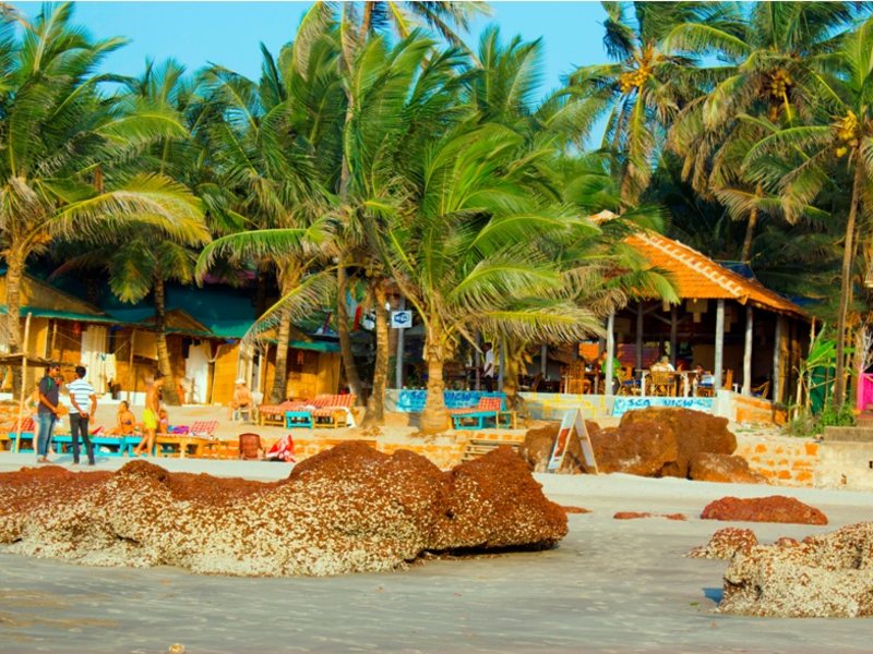 Seaview Resort  115464