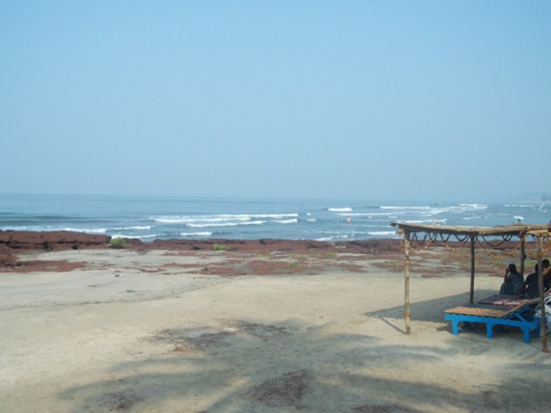 Seaview Resort  115472