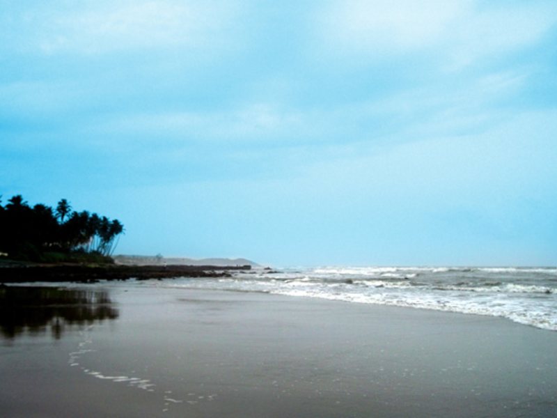 Seaview Resort  115473