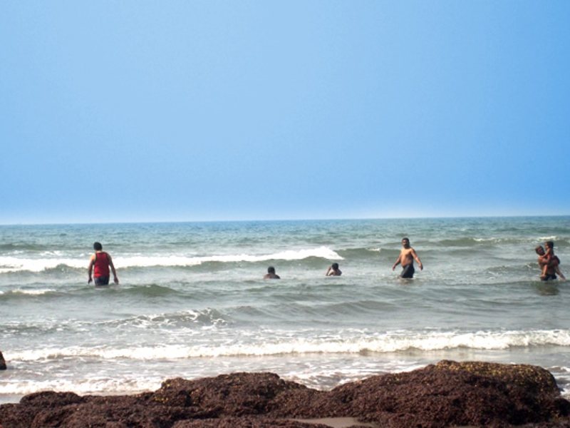 Seaview Resort  115474