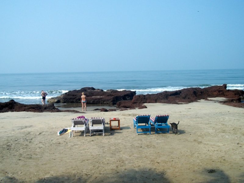 Seaview Resort  115477