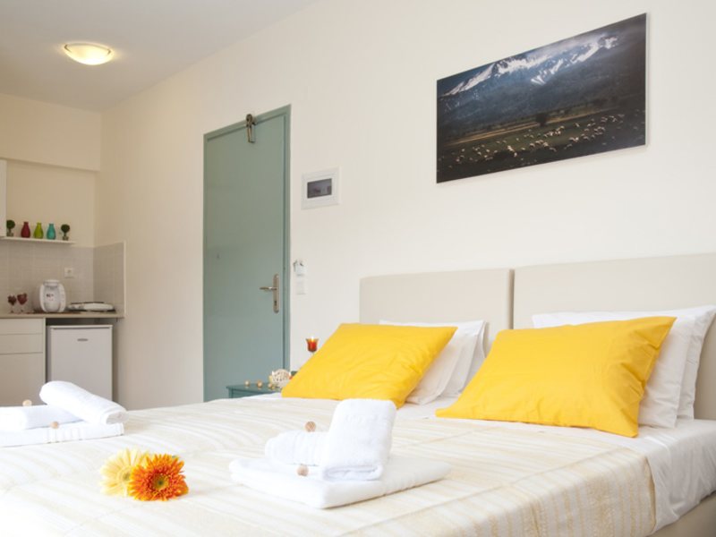 Selena View Studios 77482