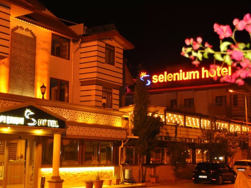 Selenium Hotel 277272