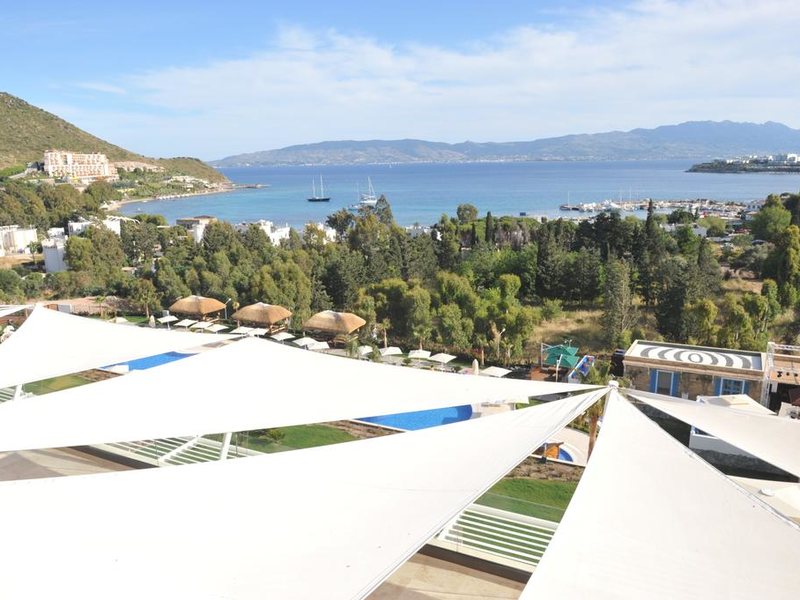 Sentido Bellazure (ex 184760