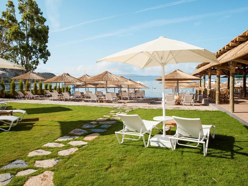 Sentido Bellazure (ex 184761