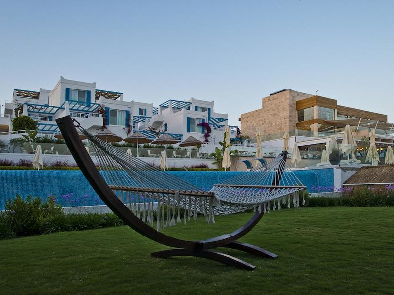 Sentido Bellazure (ex 184784