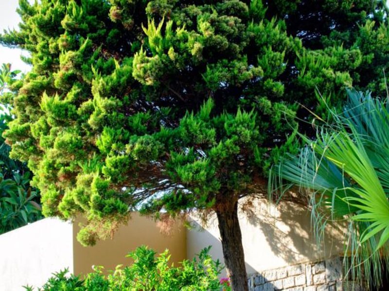 Sentido Blue Sea Beach 81888